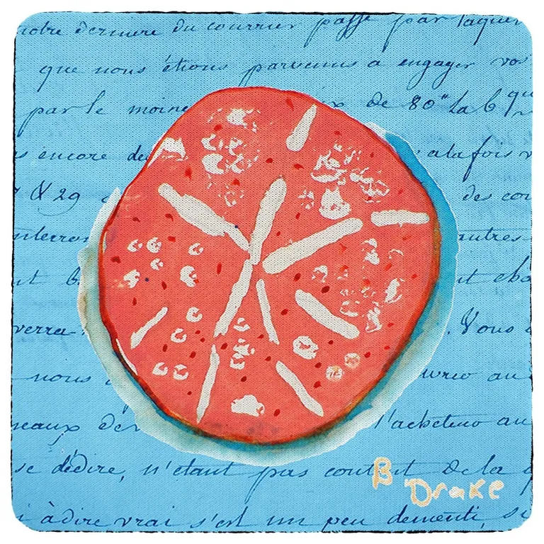 Betsy Drake Coral Sand Dollar Coaster Set of 4